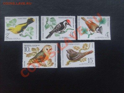 40 руб.5. - S5000005_thumb