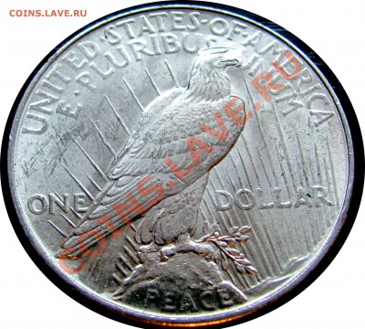 C58 США Peace Dollar 1922 до 15.09 в 22°° - C58 Peace Dollar 1922_2