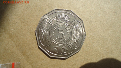 ТАНЗАНИЯ 5  ШИЛЛИНГОВ 1972 ФАО - DSC09396.JPG