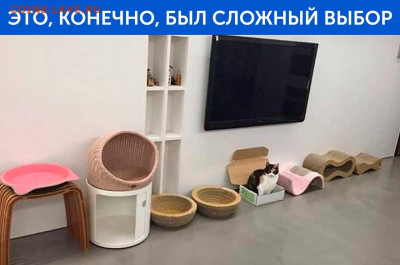 юмор - -3QojFT071k