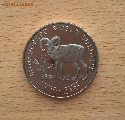 Крона Шайба Острова Кука 5$ долларов 1990 Европейский муфлон - kpd_krona_shajba_ostrova_kuka_5_dollarov_1990_evropejskij_muflon_vymirajushchie_vidy_fauna_zhivotnye (2)