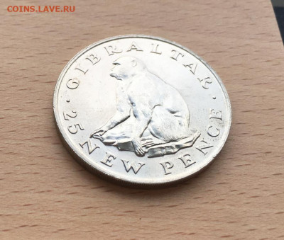 Крона Шайба Гибралтар 25 новых пенсов 1971 Обезьяна животные - krona_shajba_gibraltar_25_novykh_pensov_1971_obezjana_zhivotnye_fauna (2)
