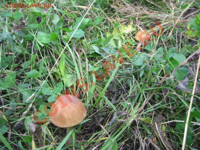 В Кузбассе начинается сезон. - IMG_1688