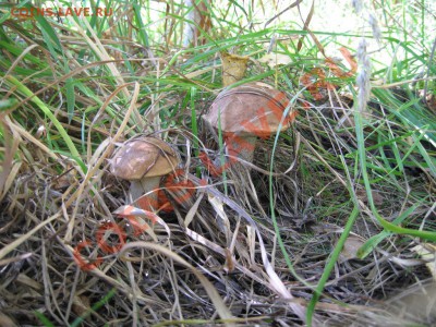 В Кузбассе начинается сезон. - IMG_1694