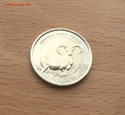 биметалл Турция 1 лира 2015 UNC Муфлон Красная Книга - IMG_2284.JPG