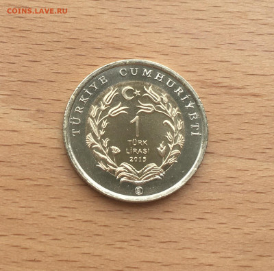 биметалл Турция 1 лира 2015 UNC Муфлон Красная Книга - IMG_2288.JPG