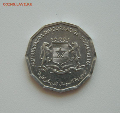 Сомали 10 центов 1976 г. (Фауна)без обращения  до 14.07.20 - DSCN9945.JPG