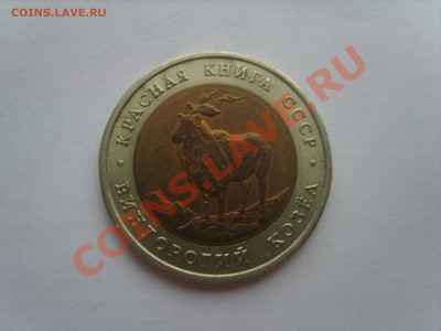 Кр.Книга. 5р. Козел.1991г. с Рубля до 10.09.11. до 22.00. - S8301046.JPG