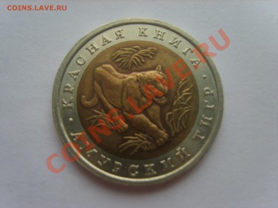 Кр.Книга. 10р. Тигр.1992г. с Рубля до 10.09.11. до 22.00. - S8301048.JPG