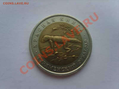 Кр.Книга. 50р.Зублефар.1993г.с Рубля до12.09.11.до 22.00. - S8301058.JPG