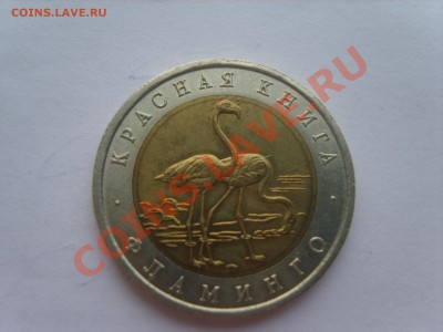 Кр.Книга. 50р.Фламинго.1994г.с Рубля до12.09.11.до 22.00. - S8301062.JPG