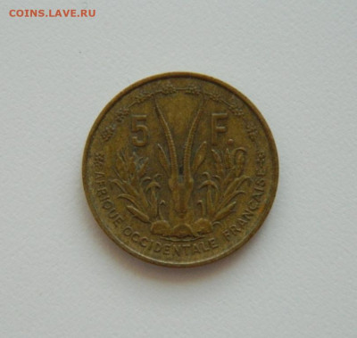 Французская Западная Африка 5 франков 1956 г. до 14.07.20 - DSCN9966.JPG