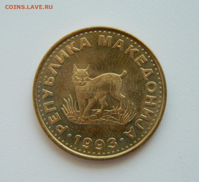 Македония 5 денаров 1993 г. (Фауна). до 14.07.20 - DSCN9866.JPG