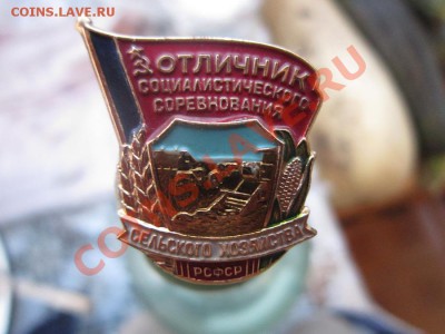 х - IMG_2891.JPG