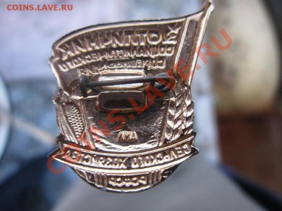 х - IMG_2892.JPG