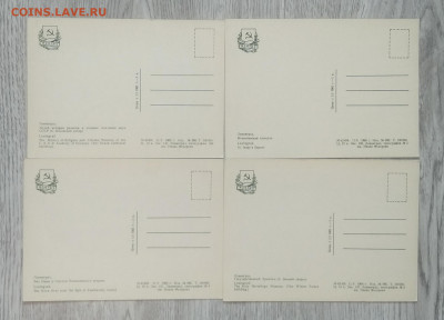 Почтовые карточки."Ленинград"4 шт.1960 г.до 20.07. в 22.00 м - IMG_20200713_191641