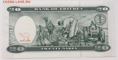 Эритрея 20 накфа накф фауна животные верблюд UNC АНЦ Пресс - eritreja_20_nakfa_nakf_fauna_zhivotnye_verbljud_unc_anc_press (1)