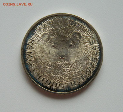 Казахстан 50 тенге 2013 г. (Юбилейная)Фауна до 20.07.20 - DSCN9990.JPG