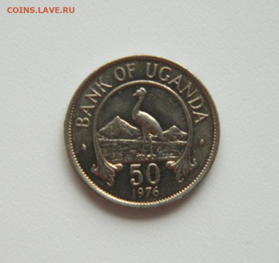 Уганда 50 центов 1976 г. (Фауна)  до 20.07.20 - DSCN9993.JPG