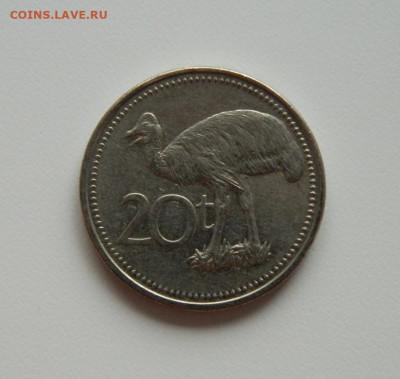 Папуа-Новая Гвинея 20 тойя 2006 г. (Фауна). до 20.07.20 - DSCN0004.JPG