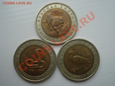 Красная книга 1992 - DSC03037.JPG