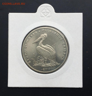 Казахстан 50 тенге 2010 Красная книга Пеликан в холдере - kazakhstan_50_tenge_2010_krasnaja_kniga_pelikan_v_kholdere_fauna_zhivotnye_ptica