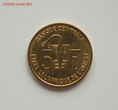 Западная Африка (ВСЕАО) 5 франков 2008 г.(Фауна) до 21.07.20 - DSCN9940.JPG