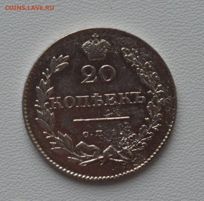 20 копеек 1831 спб нг - DSC_0270.JPG