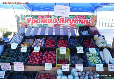 Цены на рынке.Якутск. - 20200716_123906
