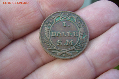 Далер 1718 - 20-07-20 - 23-10 мск - P2250227.JPG