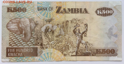 Замбия 500 квача 1992 фауна животные птицы сокол орел - zambija_500_kvacha_1992_fauna_zhivotnye_pticy_sokol_orel (1)