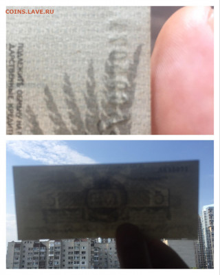 5 рублей 1919г. Юденич. UNC, 25.07.2020г в 22:00 - 65C777AE-BBE1-45A5-AD14-24023D7A06B7