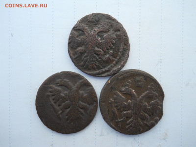 полушка 1740 R.1739.1736.до 23.07.2020 в 22-00 по мск. - DSCN5382.JPG