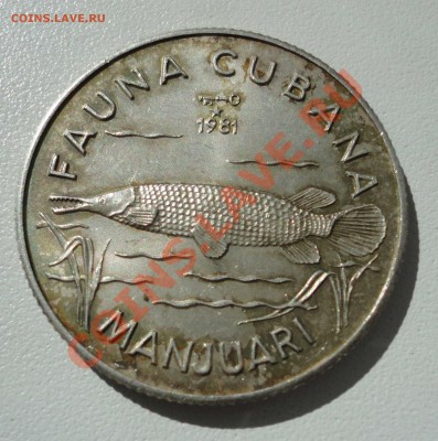 Куба 5 pesos 1981 Ag - 1-1.JPG
