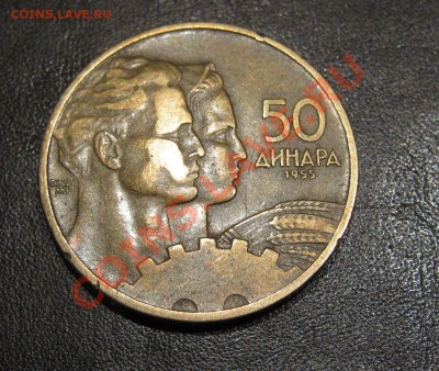 Югославия 50 динар 1955    Окончание: 17.09 в 22:00 - IMG_2833