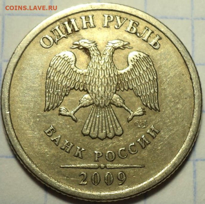 РАЗНОВИДНОСТИ  от  СЛФ - DSC06294.JPG