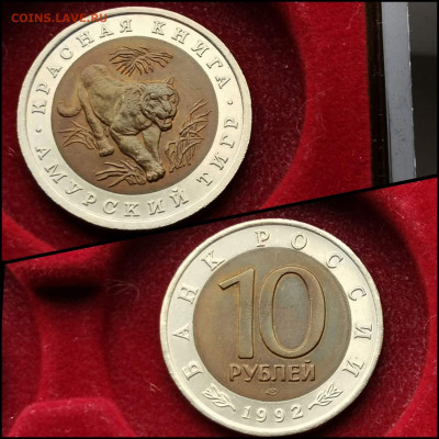 Амурский Тигр 10 рублей 1992 год. Хороший. До 29.07 - IMG_20200324_204529