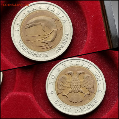 Черноморская Афалина 50 рублей 1993 год. Хорошая. До 29.07 - IMG_20200324_204521