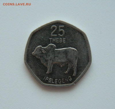 Ботсвана 25 тхебе 2013 г. (Фауна). до 30.07.20 - DSCN9965.JPG