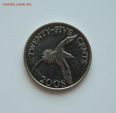 Бермудские острова 25 центов 2008 г. (Фауна). до 30.07.20 - DSCN9948.JPG