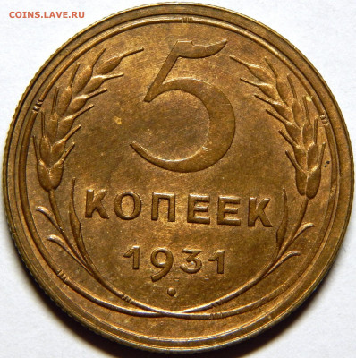 5 копеек 1931 - DSCN5358_1