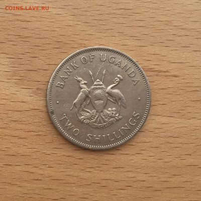 Уганда 2 шиллинга 1966 фауна венценосный журавль птица - IMG_3310.JPG
