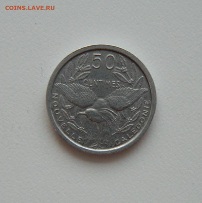 Новая Каледония 50 сантимов 1949 г. (Фауна) до 30.07.20 - DSCN0144.JPG