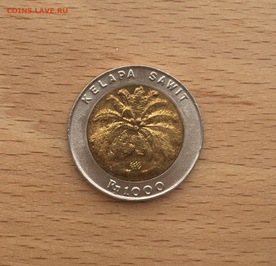 биметалл Индонезия 1000 рупий 1996 - IMG_3331.JPG