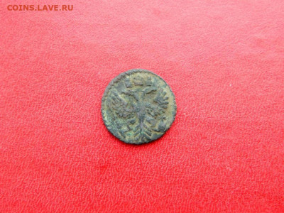 Полушка 1731. Большая розетка. Хорошая - polushka_1731_bolshaja_rozetka_rrrrrrrrrrrr