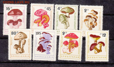 Болгария 1961 8м ** до 01 08 - 48