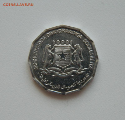 Сомали 5 центов 1976 г. (ФАО) до 05.08.20 - DSCN0221.JPG
