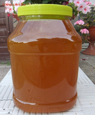 Мед 3 л 2020 г., окончание 3.08.2020 22:00 - DSCF8798.JPG