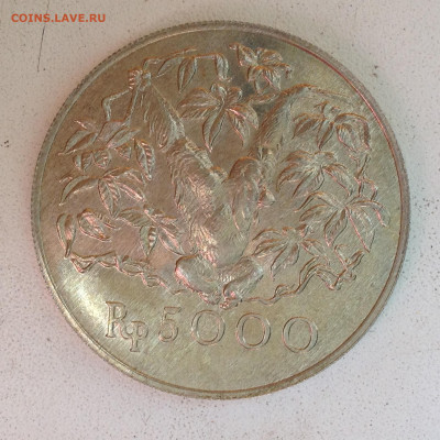 Индонезия. 5000 рупий. 1974г. - IMG_2084.JPG