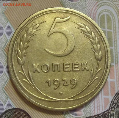 5 копеек 1929 год до 3 августа в 22.00 - red3224497.JPG